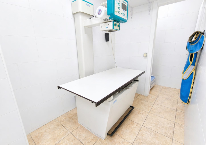 Clínica Veterinaria Guau Veterinaris l La Pobla de Vallbona